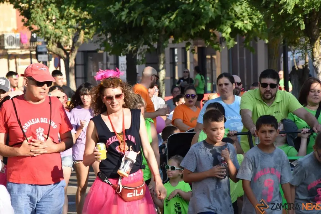 Fiestas de Moraleja del Vino desfile de pañas _56