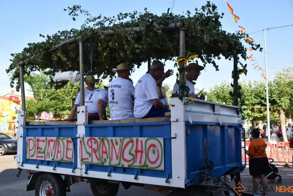 Fiestas de Moraleja del Vino desfile de pañas _82