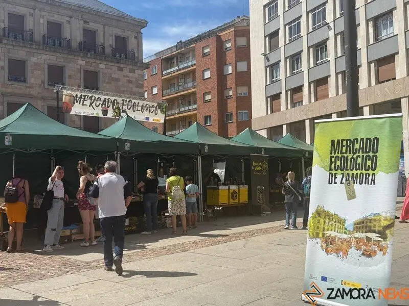 mercado ecológico Zamora