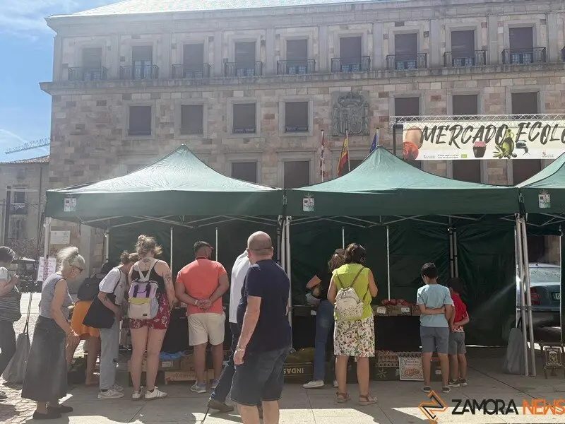 mercado ecológico Zamora_2