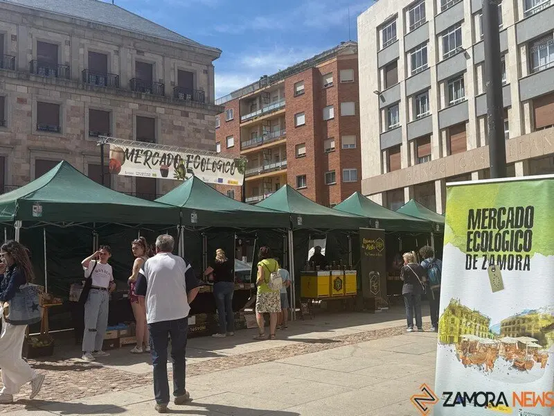 mercado ecológico Zamora_3