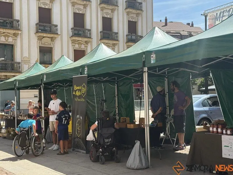 mercado ecológico Zamora_6