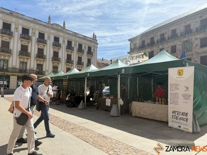 mercado ecológico Zamora_5