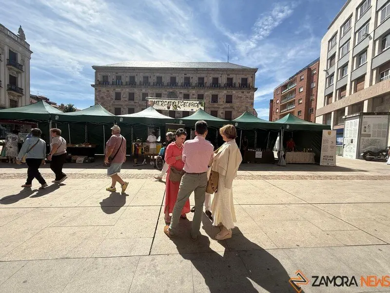 mercado ecológico Zamora_9