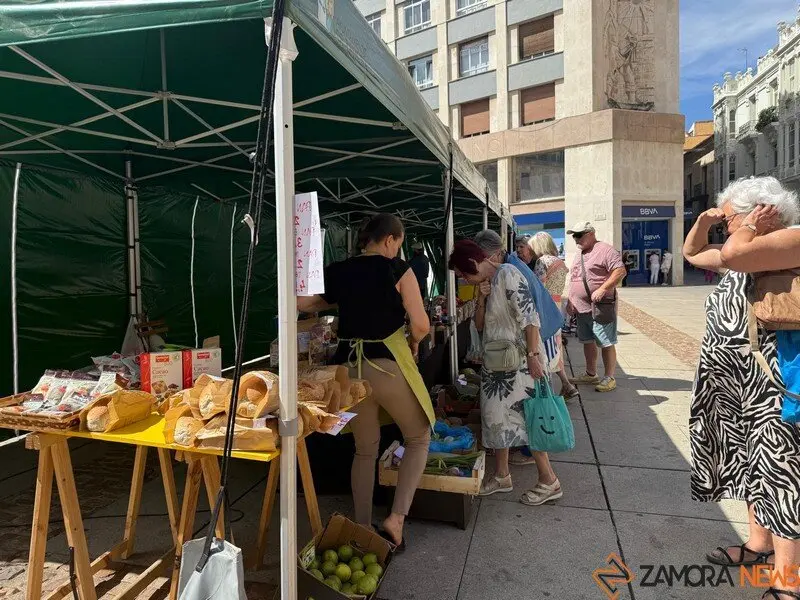 mercado ecológico Zamora_10