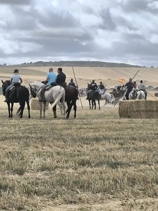 toro encierro Moraleja del Vino (5)