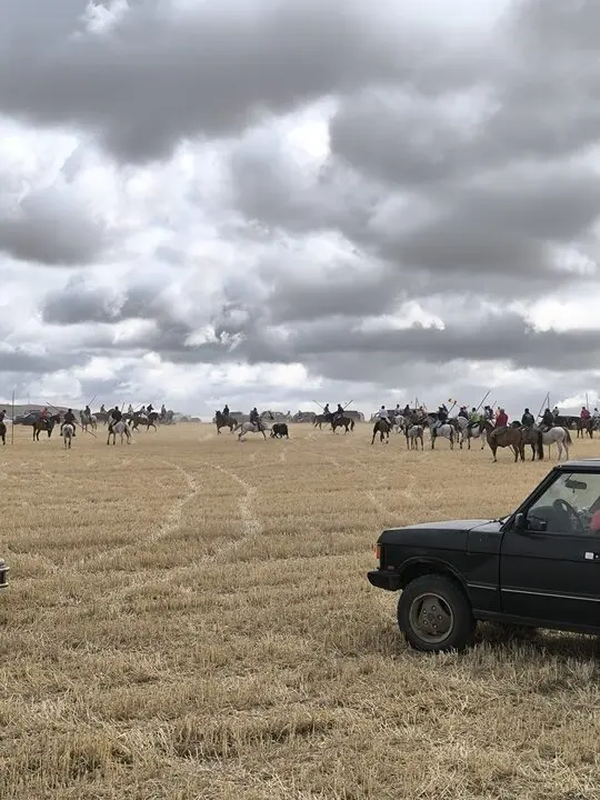 toro encierro Moraleja del Vino (6)