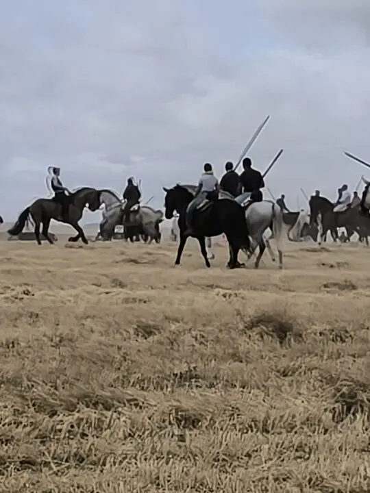 toro encierro Moraleja del Vino (7)