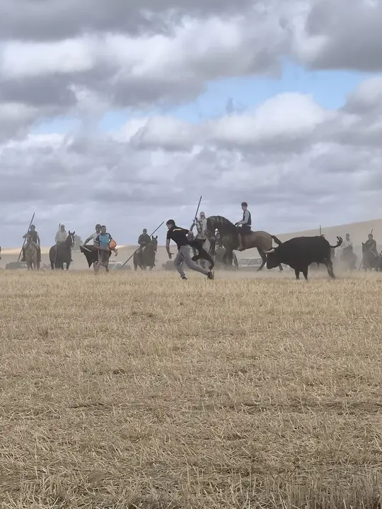 toro encierro Moraleja del Vino (9)