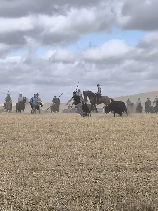 toro encierro Moraleja del Vino (10)