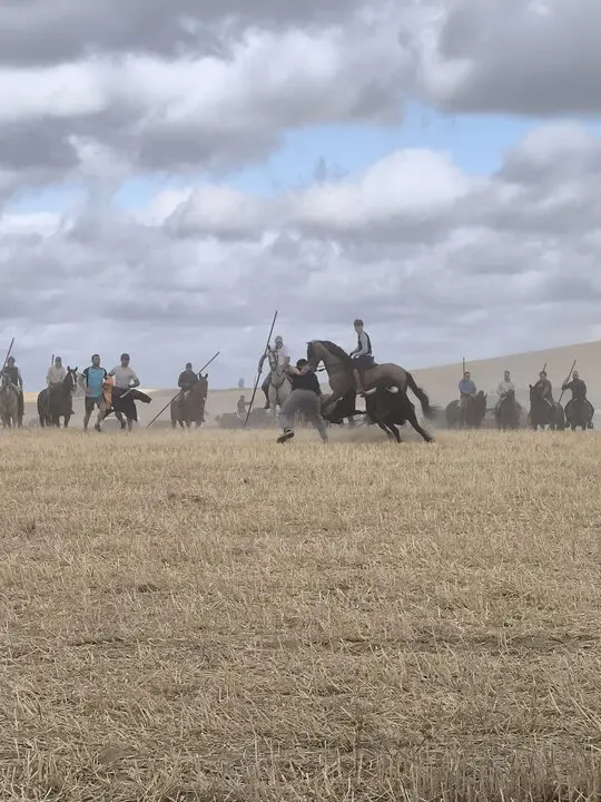 toro encierro Moraleja del Vino (13)