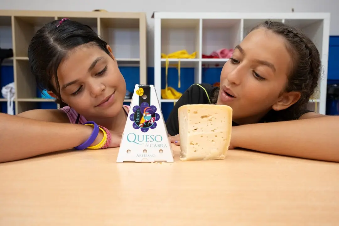 masterchef y alimentos de zamora  (1)