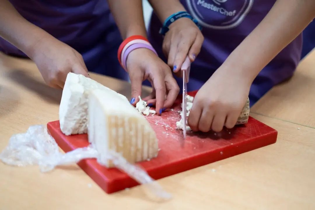 masterchef y alimentos de zamora  (27)