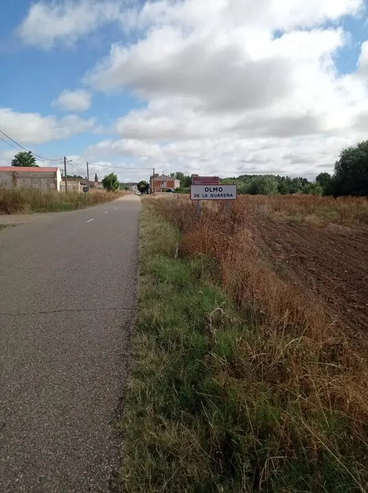 Olmo de la Guareña