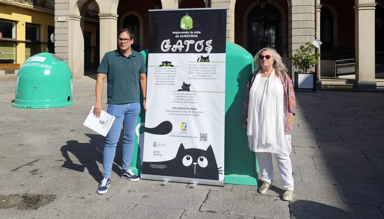 GATOS REFUGIOS