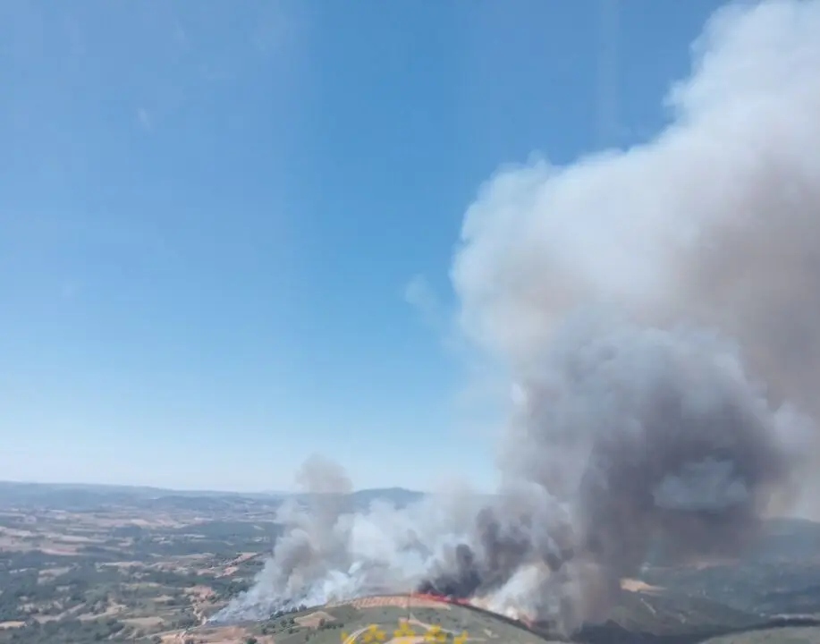 Incendio Aveleda (Portugal)