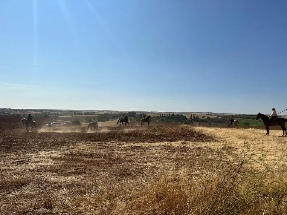 WhatsApp Image 2025-07-27 at 11.58.07 (2)