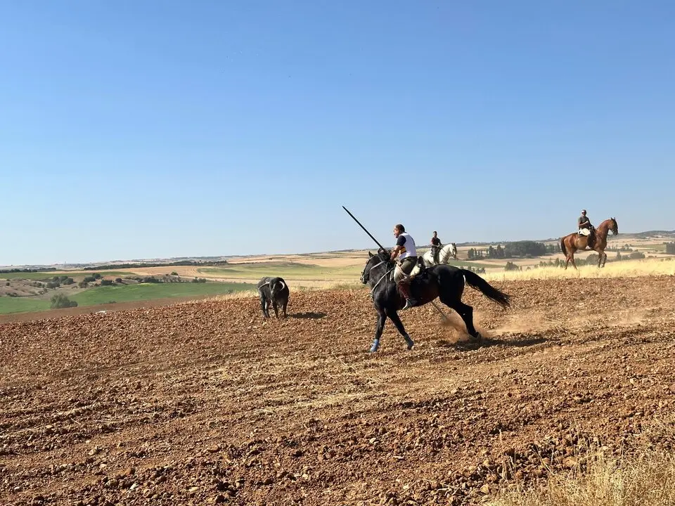 WhatsApp Image 2025-07-27 at 11.58.07 (1)