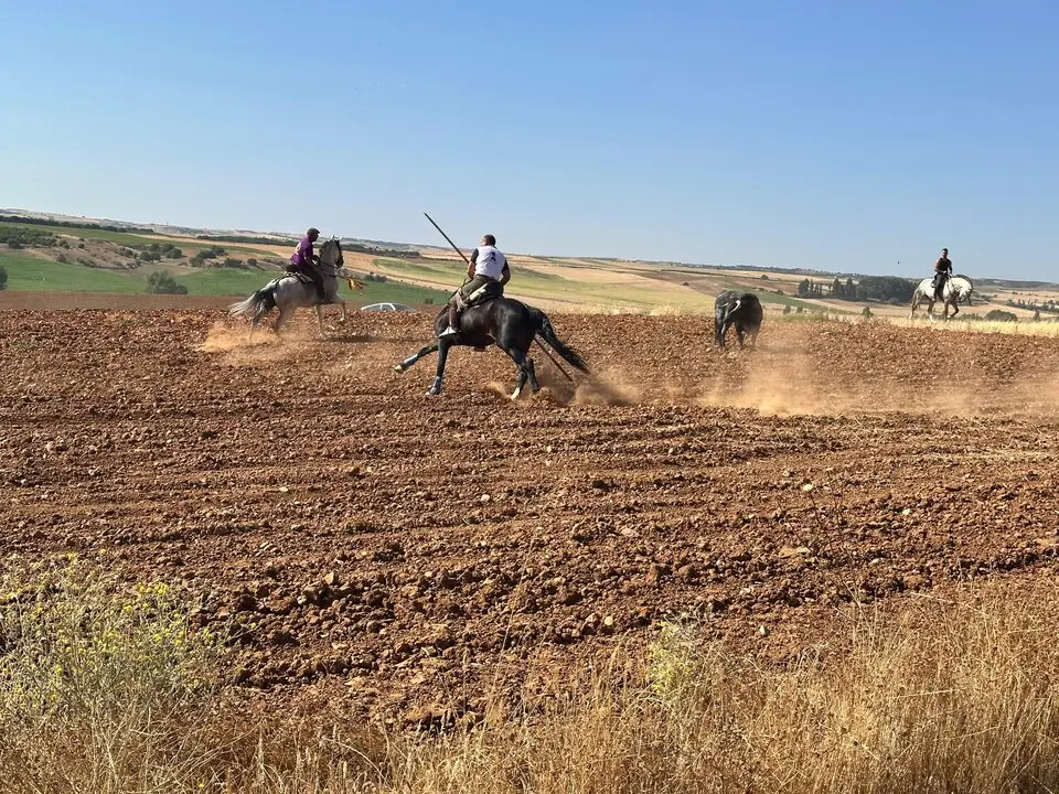 WhatsApp Image 2025-07-27 at 11.58.07