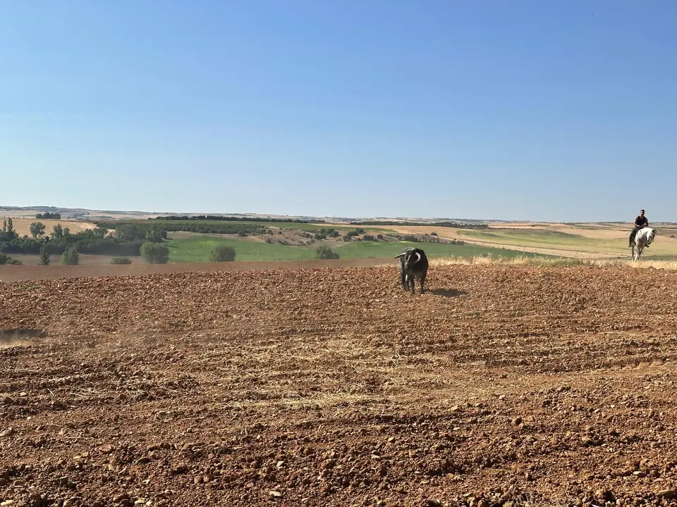 WhatsApp Image 2025-07-27 at 11.58.06 (3)