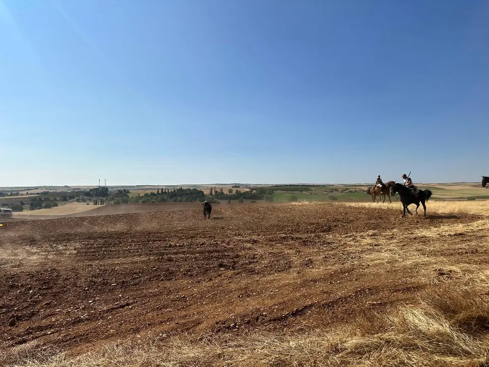 WhatsApp Image 2025-07-27 at 11.58.06 (2)