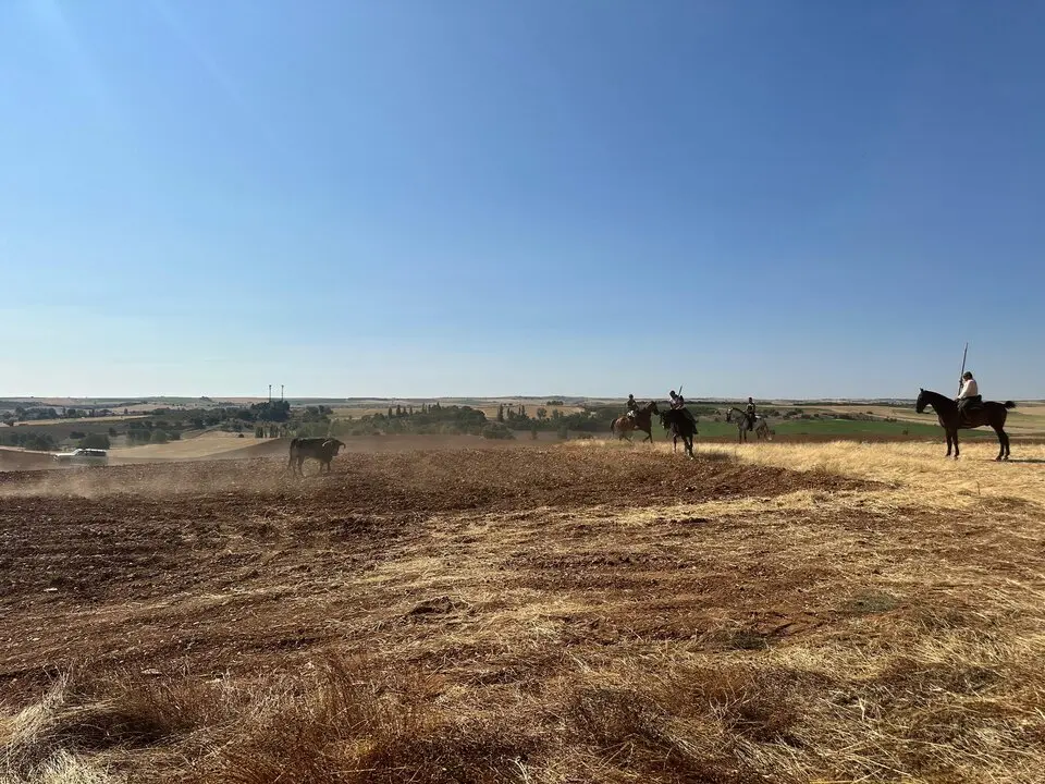 WhatsApp Image 2025-07-27 at 11.58.06 (1)