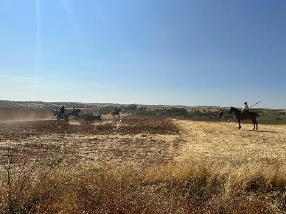 WhatsApp Image 2025-07-27 at 11.58.06