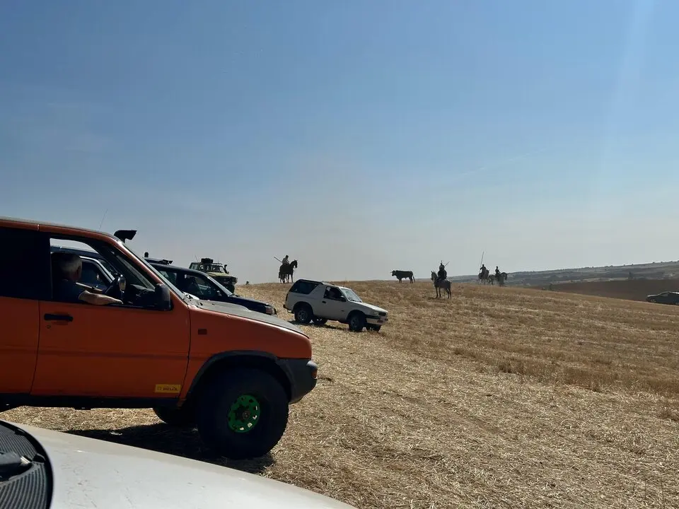 WhatsApp Image 2025-07-27 at 11.58.05 (5)