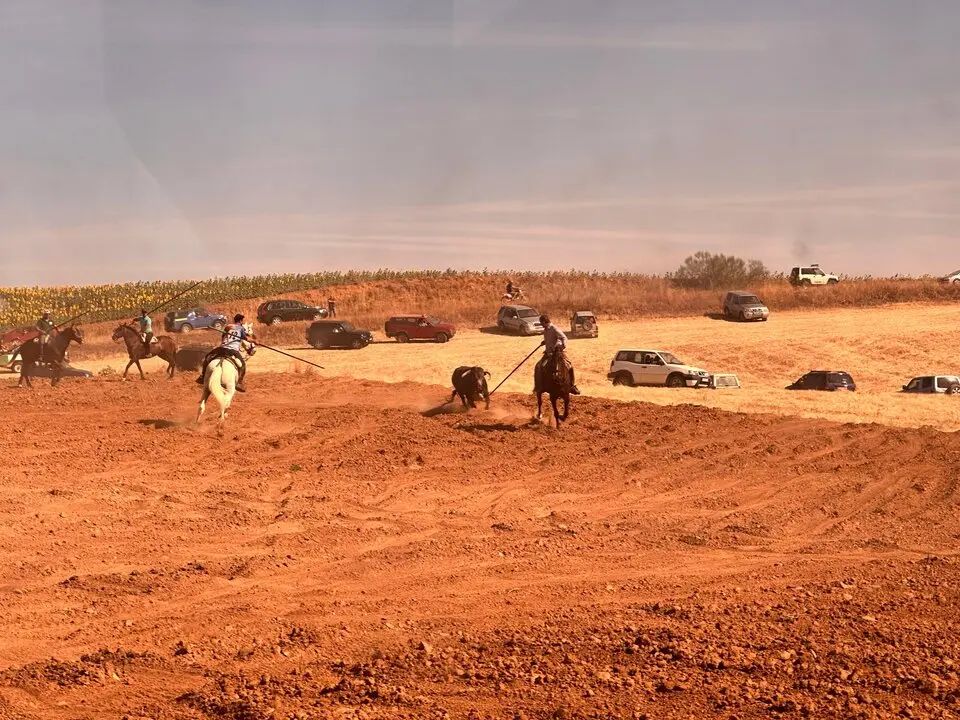 WhatsApp Image 2025-07-27 at 11.58.05 (3)