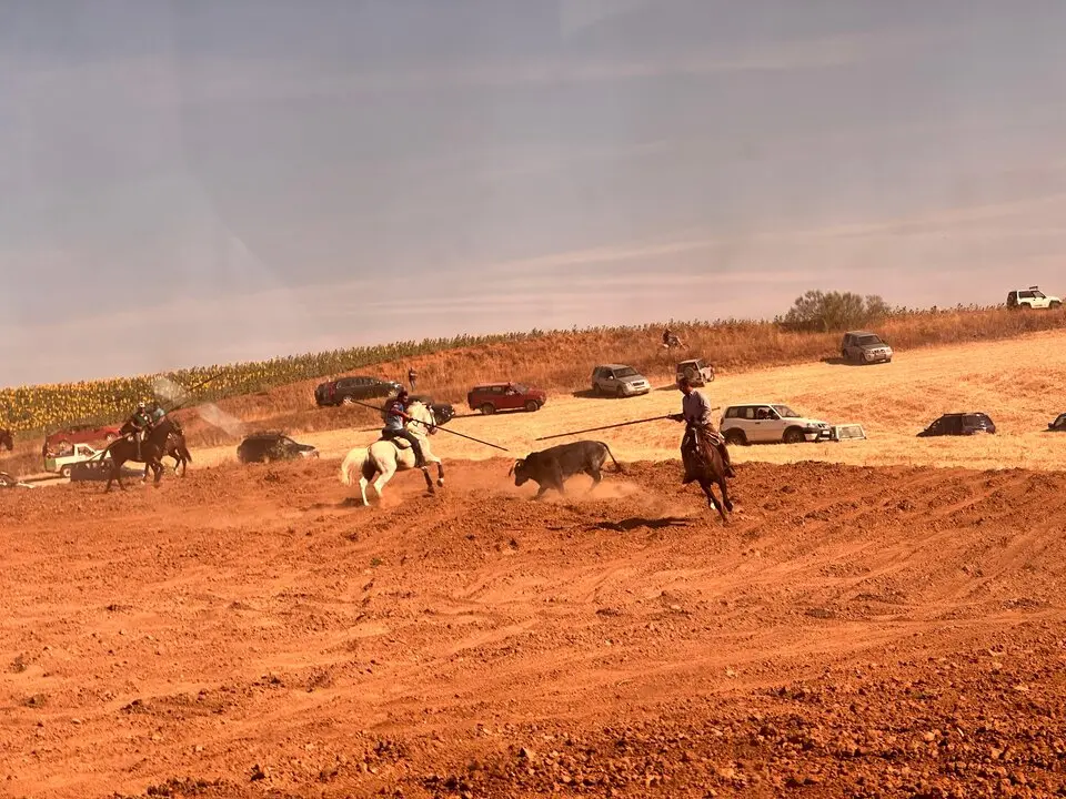 WhatsApp Image 2025-07-27 at 11.58.05 (2)