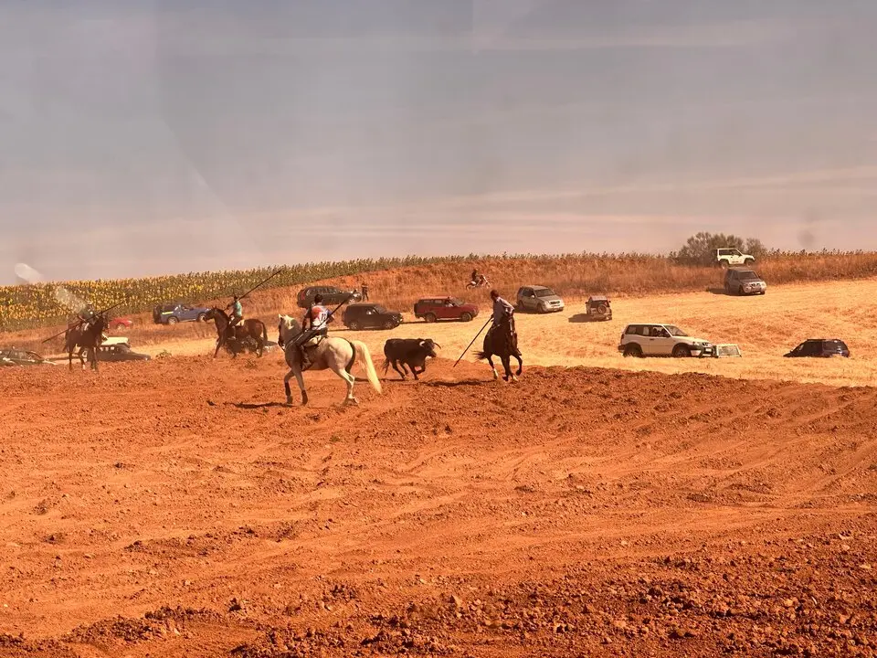 WhatsApp Image 2025-07-27 at 11.58.05