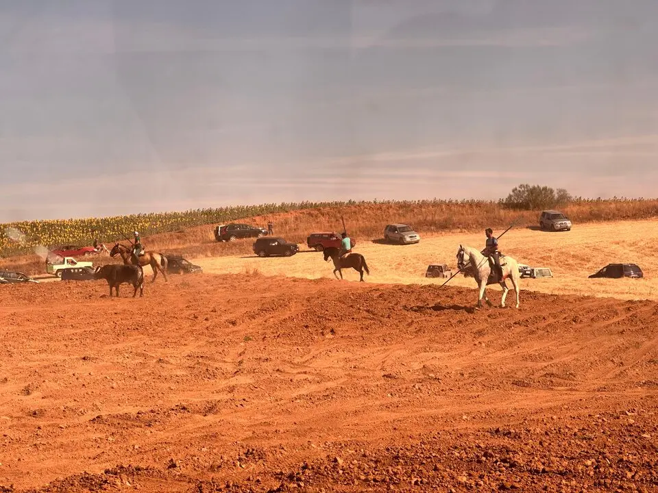 WhatsApp Image 2025-07-27 at 11.58.02 (1)