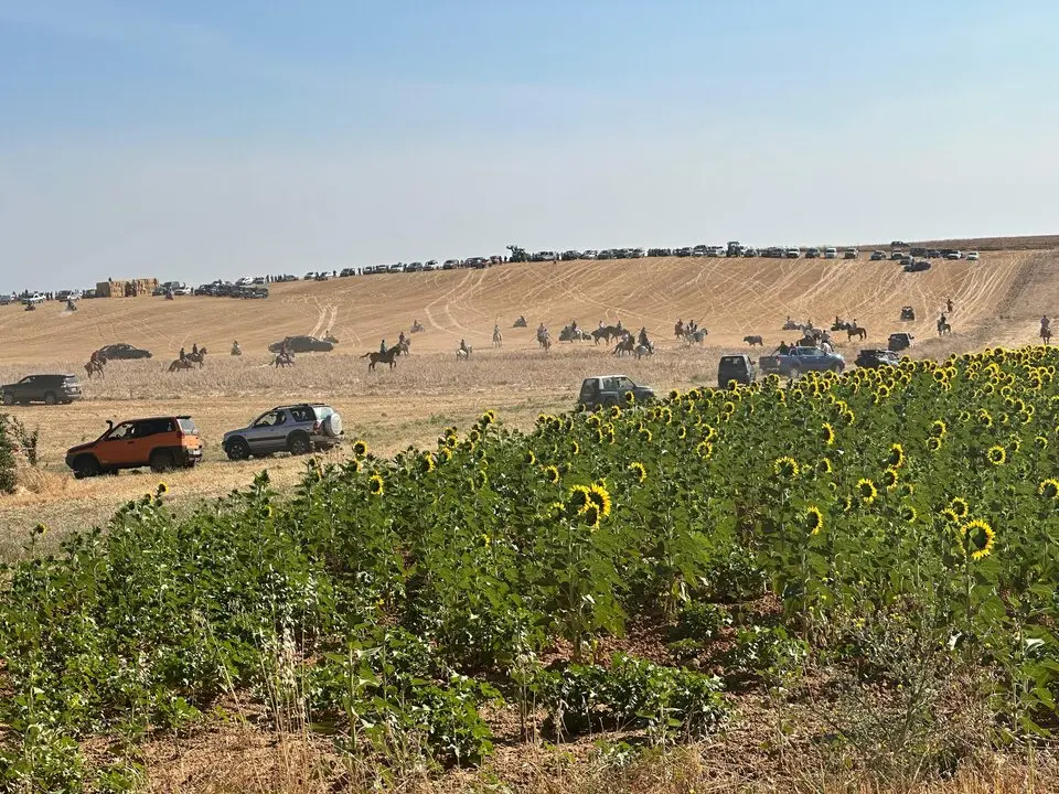 WhatsApp Image 2025-07-27 at 11.58.01