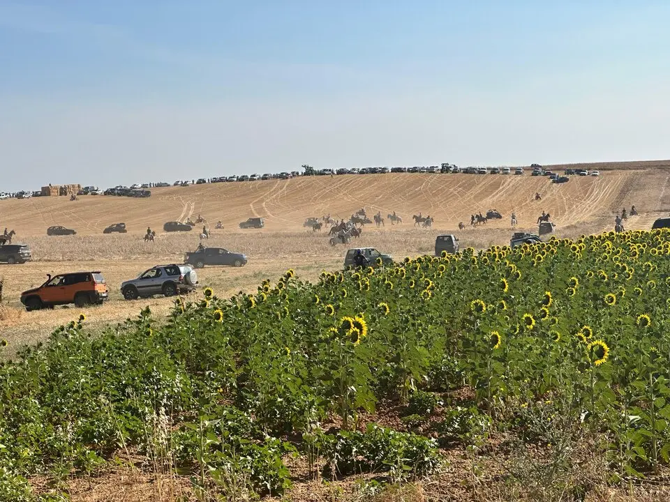 WhatsApp Image 2025-07-27 at 11.57.59