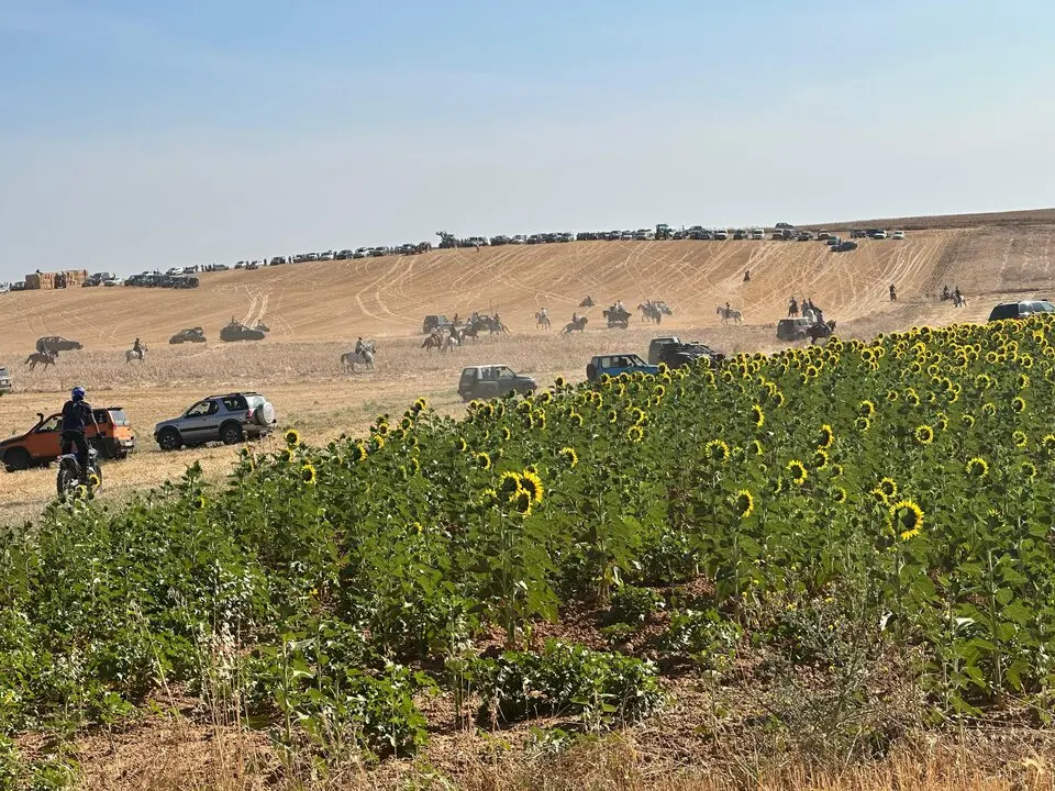 Encierro Campero El Piñero