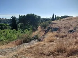 Valorio ahora decide