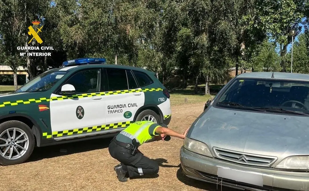 momento de la intervención en la playa fluvial de Camarzana de Tera