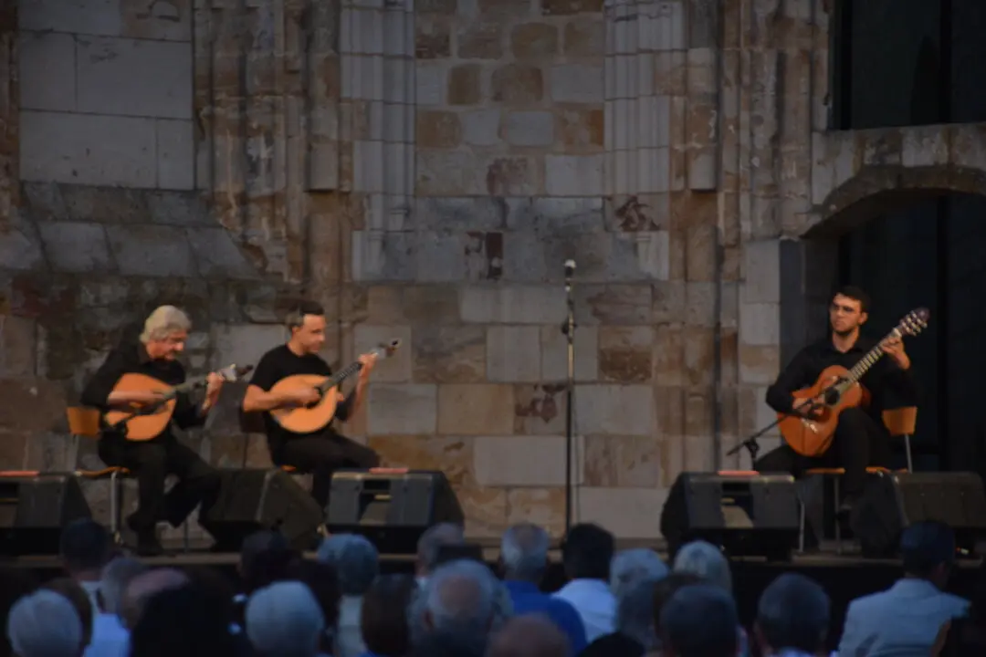 fados viernes grupo centro  (46)