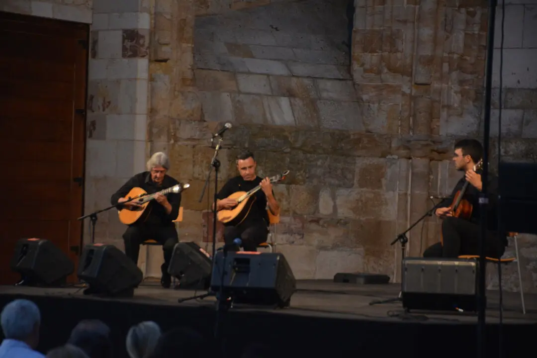 fados viernes grupo centro  (51)