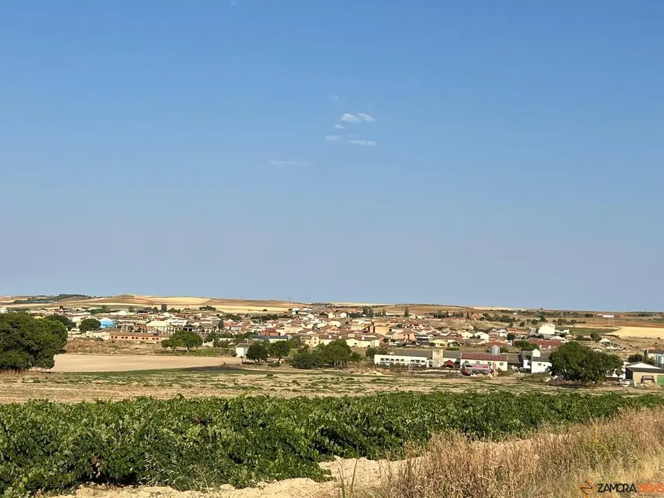 Coreses panorámica