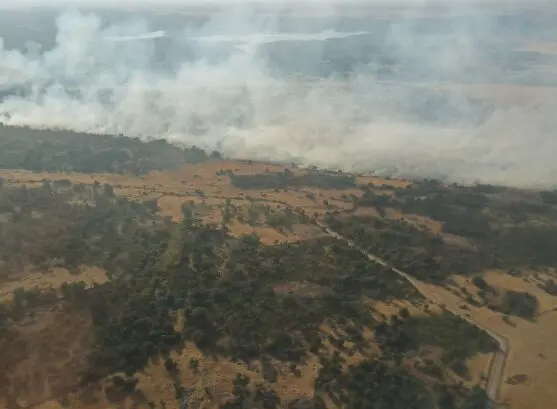 incendio de Villaflor