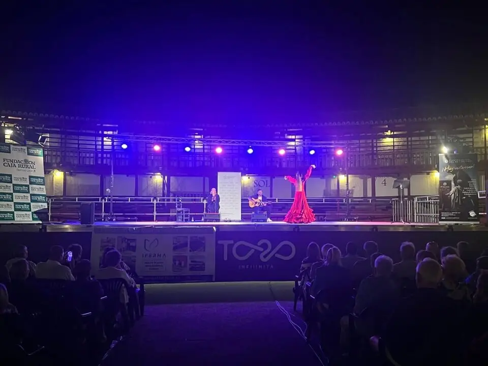 Festival Falamenco Toro AECC- Imagen de redes sociales