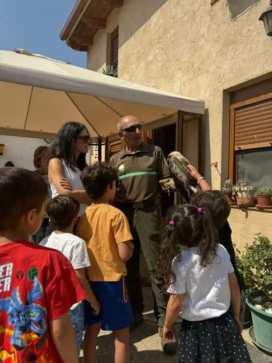 Los vecinos de Vega de Villalobos rescatan un águila calzada enferma