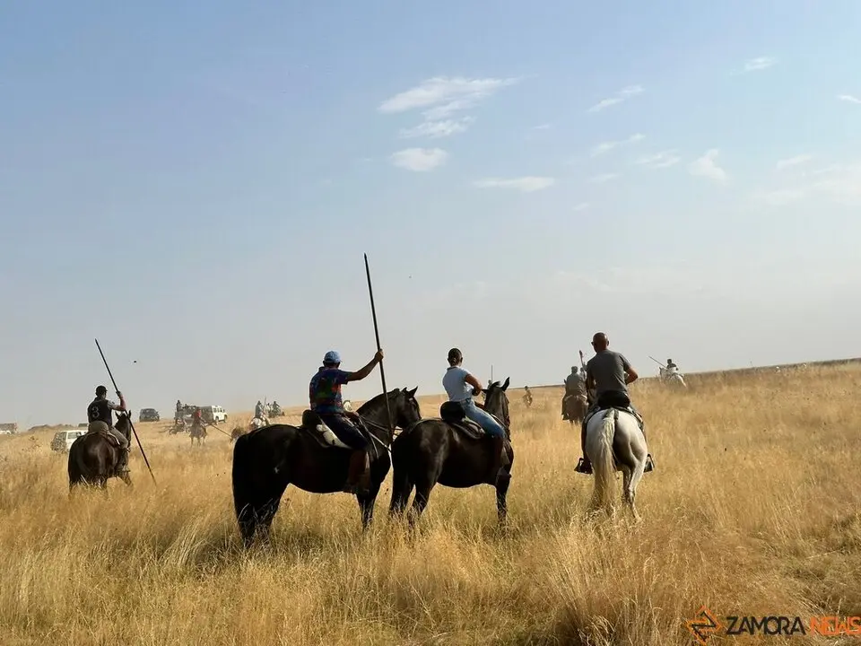 Encierro Campero Manganeses de la Lampreana