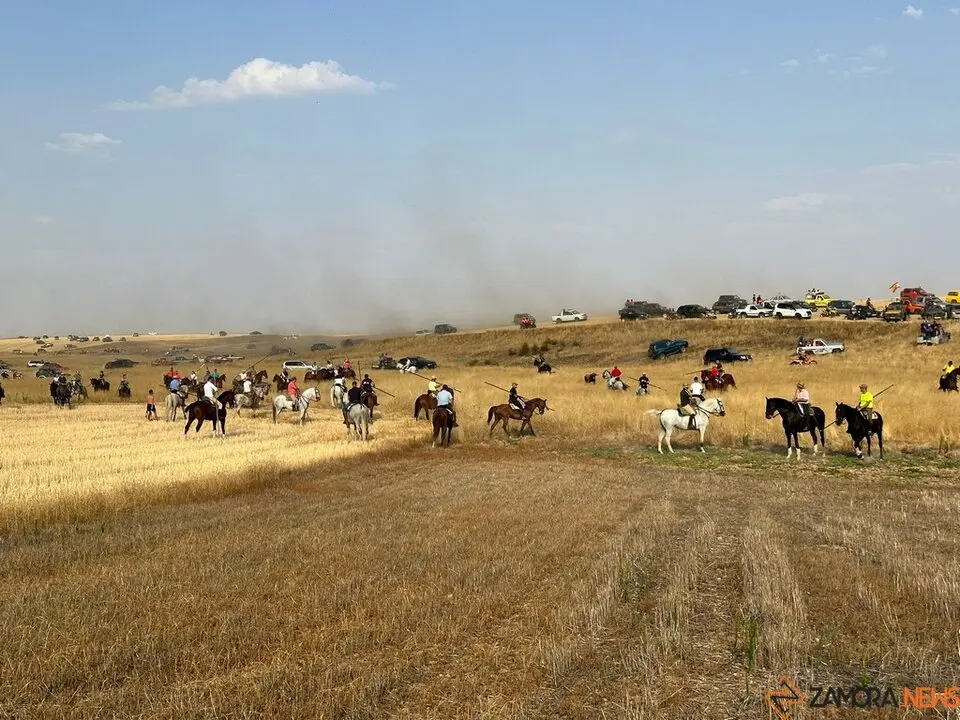 Encierro Campero Manganeses de la Lampreana_2