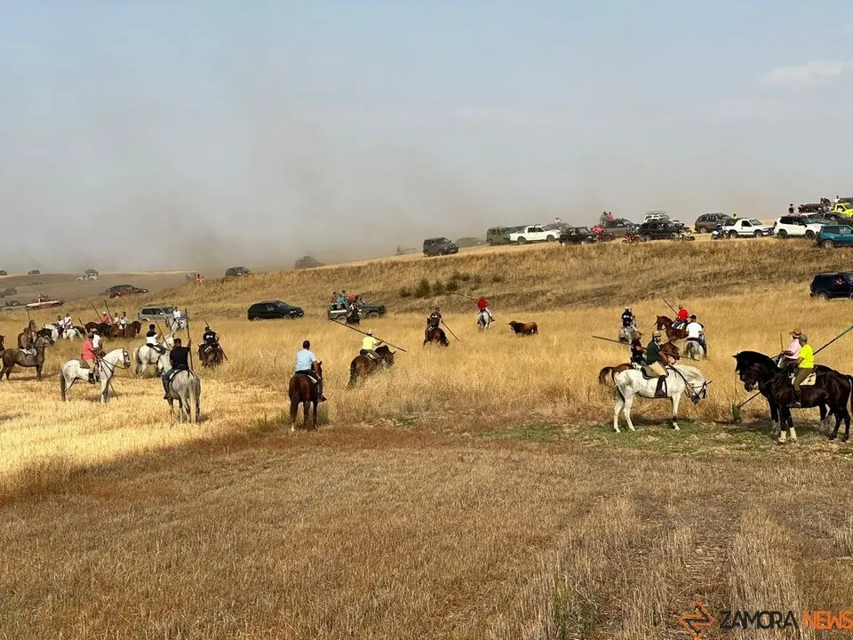 Encierro Campero Manganeses de la Lampreana_3