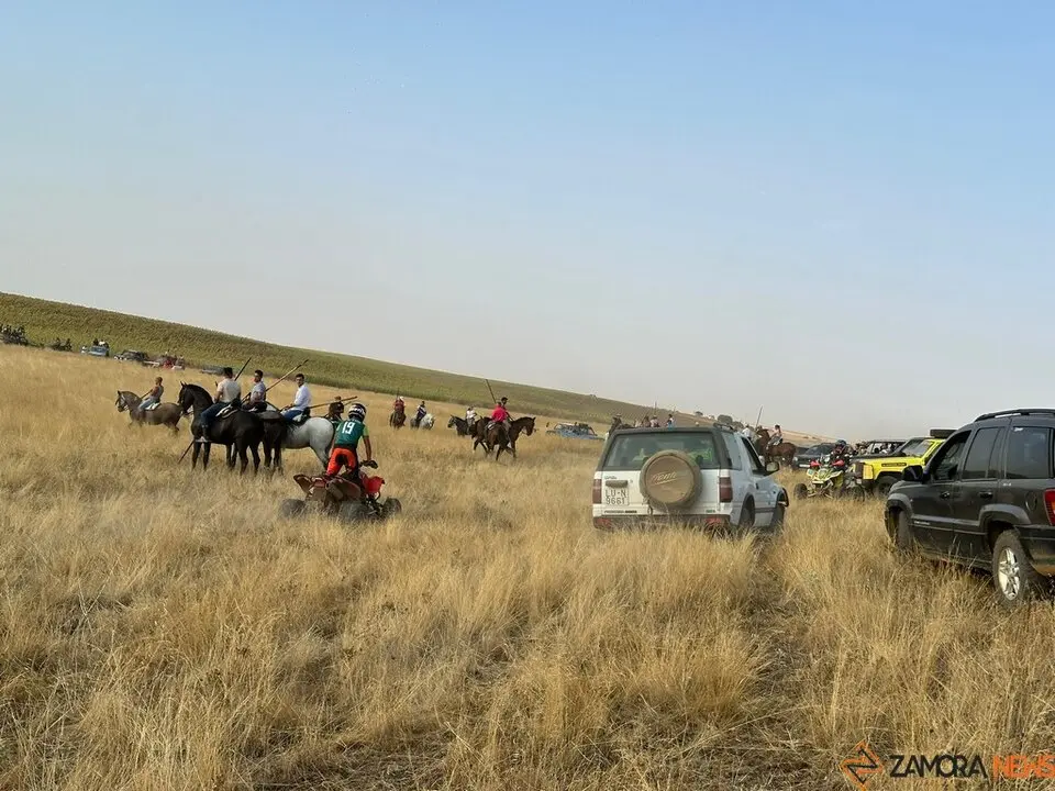 Encierro Campero Manganeses de la Lampreana_5