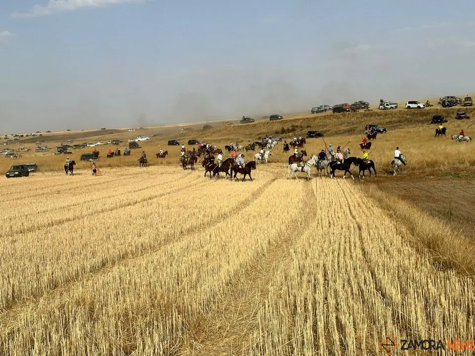 Encierro Campero Manganeses de la Lampreana_8