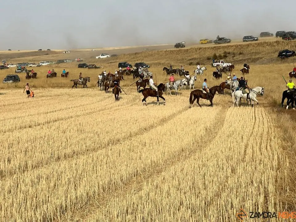 Encierro Campero Manganeses de la Lampreana_9