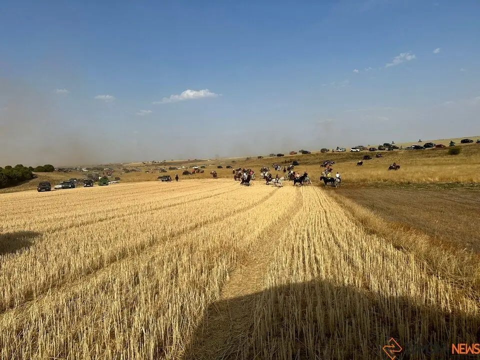Encierro Campero Manganeses de la Lampreana_10